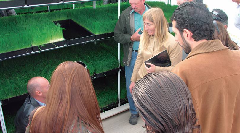 Vivero FVH educativo
